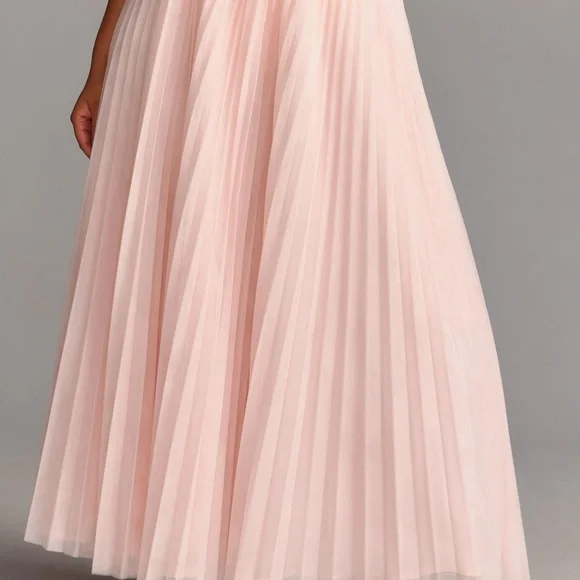 Anthropologie Hutch Pink Maxi Pleated A-Line Skirt - Picture 5 of 9